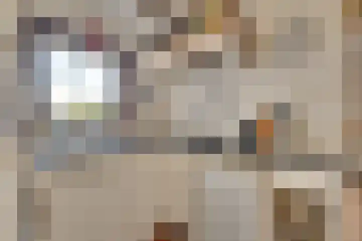 Molenweg 7 Zoutelande thumbnail 16
