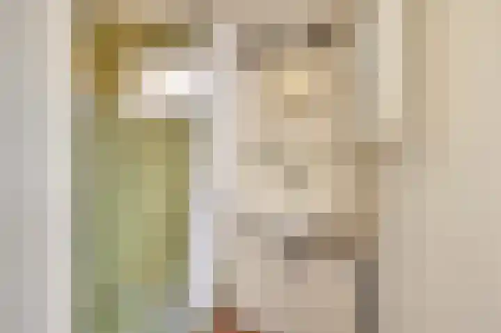 Molenweg 7 Zoutelande thumbnail 18
