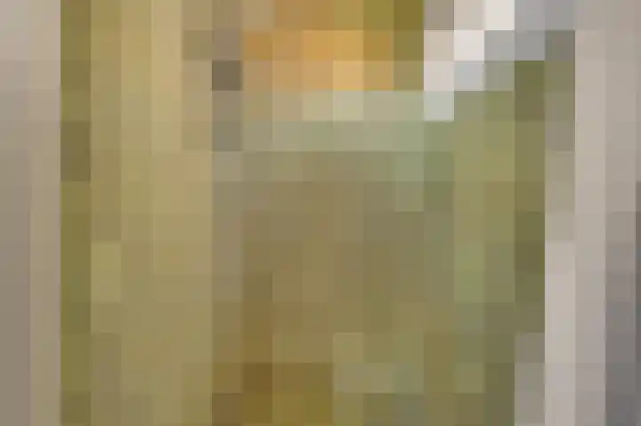 Molenweg 7 Zoutelande thumbnail 19