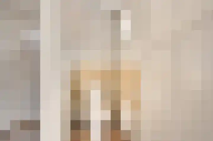 Molenweg 7 Zoutelande thumbnail 24