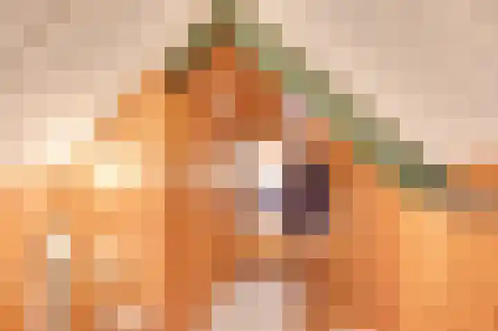 Molenweg 7 Zoutelande thumbnail 26