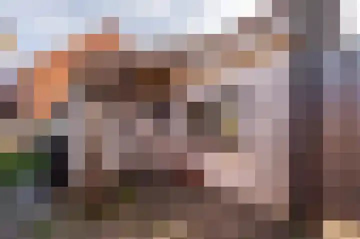 Molenweg 7 Zoutelande thumbnail 6