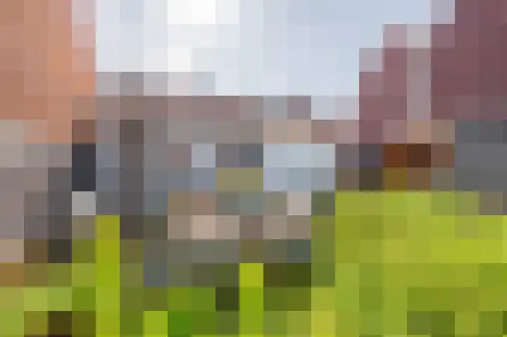 Molenweg 7 Zoutelande thumbnail 8