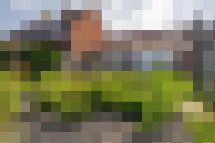 Molenweg 7 Zoutelande thumbnail 9