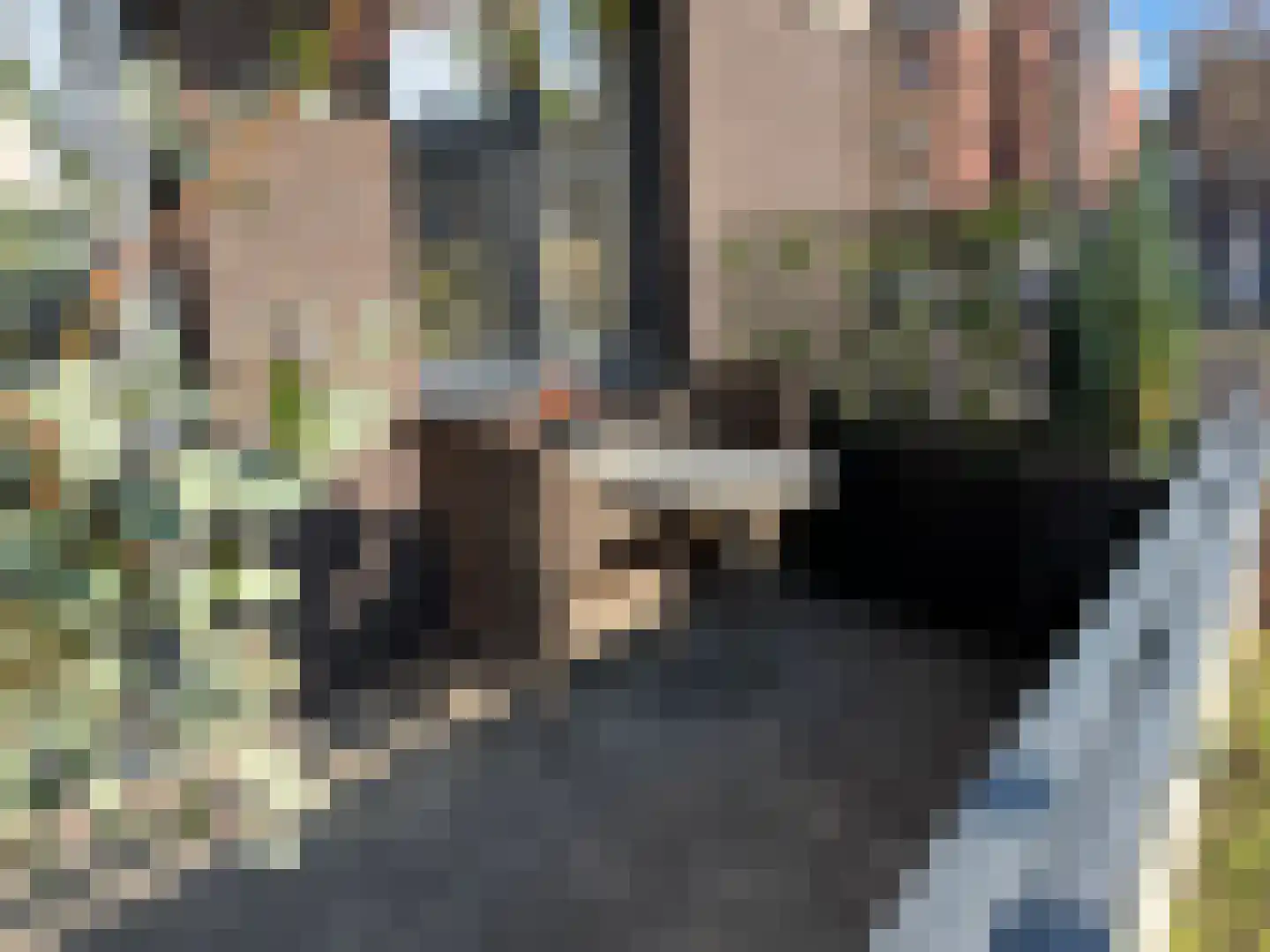 Molenweg 73 Roermond thumbnail 15