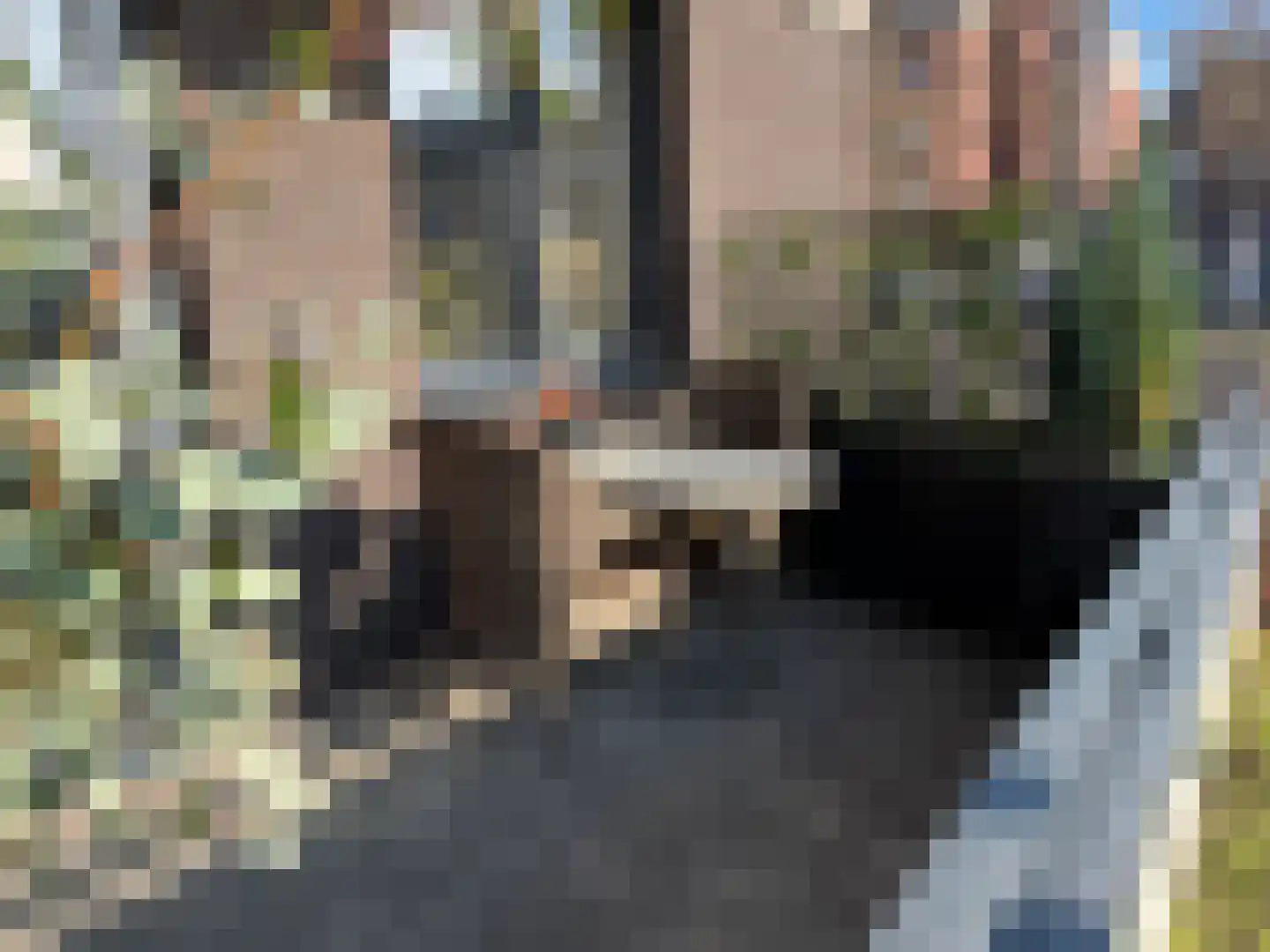 Molenweg 73 Roermond thumbnail 16