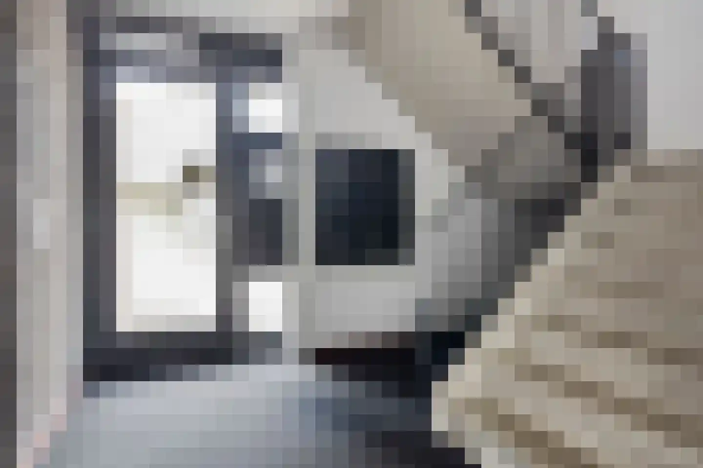 Molenweg 75 Roermond thumbnail 8