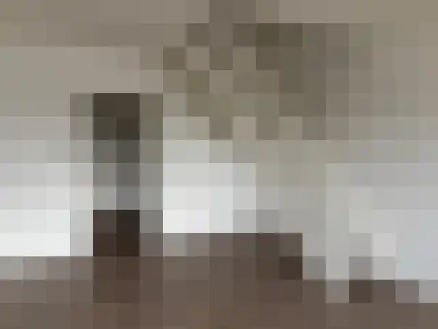 Molenweg 75 Rozenburg thumbnail 9