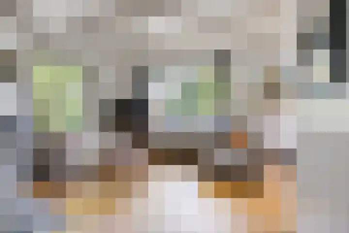 Molenweg 77 Wijdenes thumbnail 11