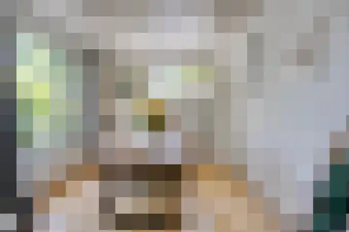 Molenweg 77 Wijdenes thumbnail 14