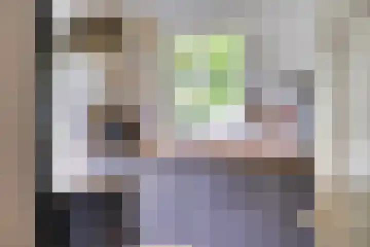 Molenweg 77 Wijdenes thumbnail 18