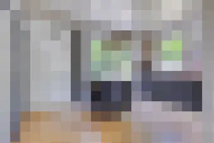Molenweg 77 Wijdenes thumbnail 19