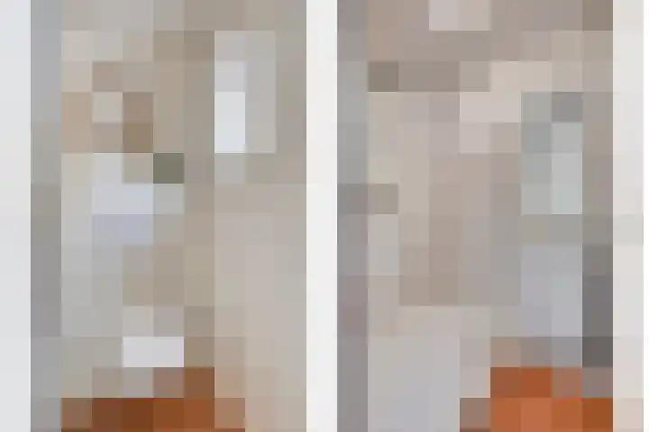 Molenweg 77 Wijdenes thumbnail 25