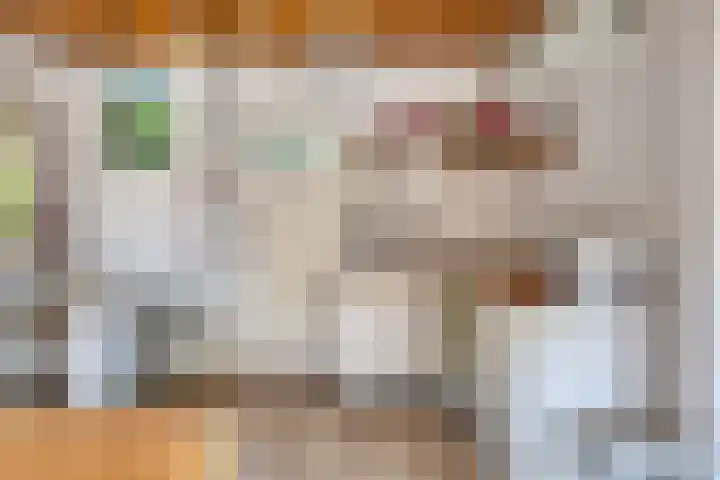 Molenweg 77 Wijdenes thumbnail 29