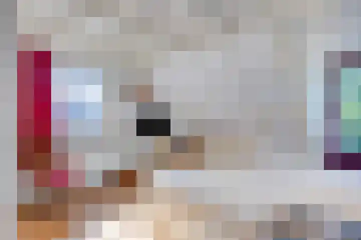 Molenweg 77 Wijdenes thumbnail 35