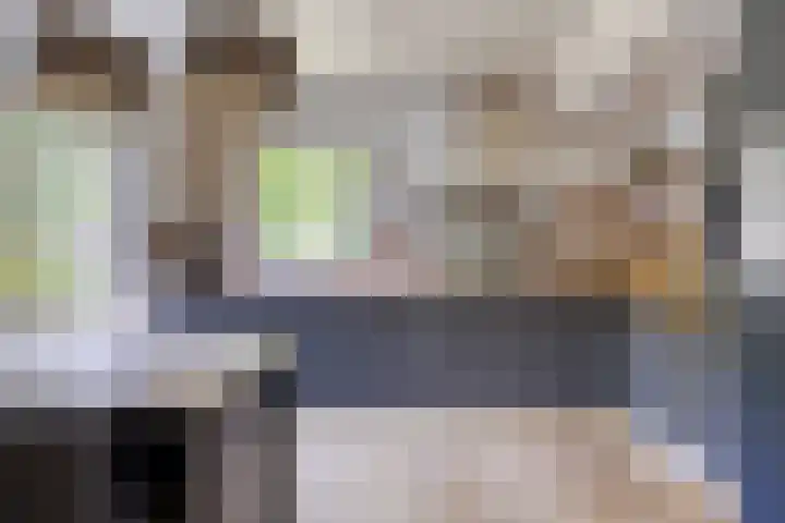 Molenweg 77 Wijdenes thumbnail 4