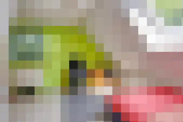 Molenweg 77 Wijdenes thumbnail 41