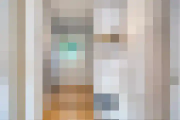 Molenweg 77 Wijdenes thumbnail 43