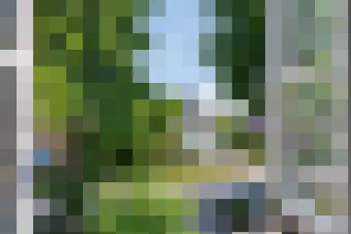 Molenweg 77 Wijdenes thumbnail 50