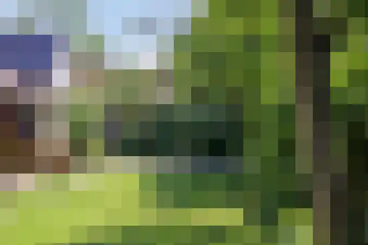 Molenweg 77 Wijdenes thumbnail 53