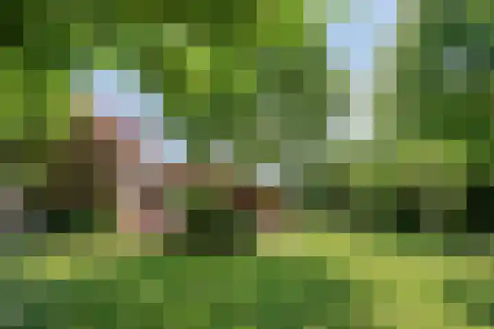 Molenweg 77 Wijdenes thumbnail 55