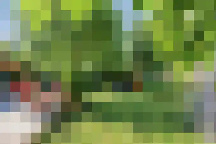 Molenweg 77 Wijdenes thumbnail 56