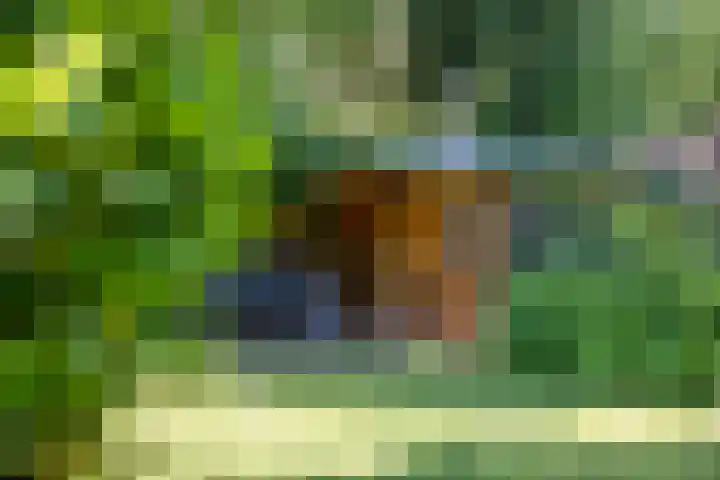 Molenweg 77 Wijdenes thumbnail 57