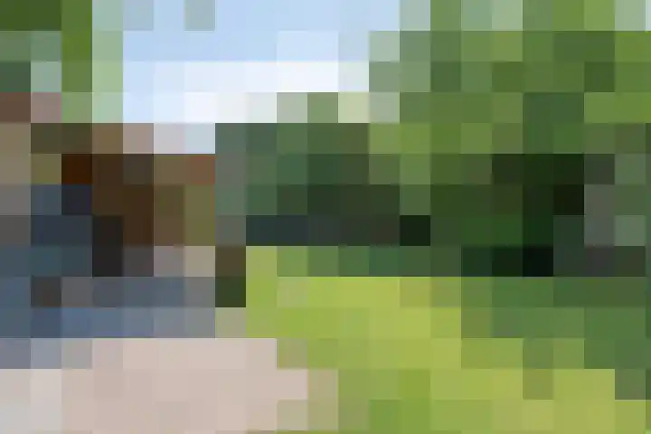 Molenweg 77 Wijdenes thumbnail 58