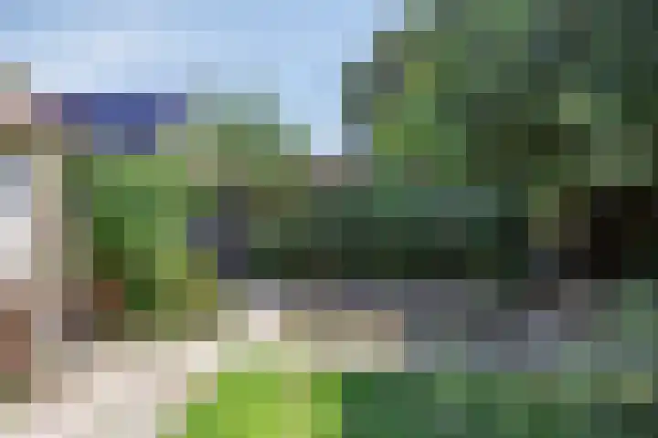 Molenweg 77 Wijdenes thumbnail 59