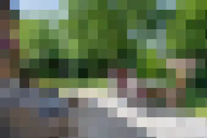 Molenweg 77 Wijdenes thumbnail 6