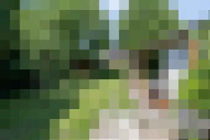 Molenweg 77 Wijdenes thumbnail 60