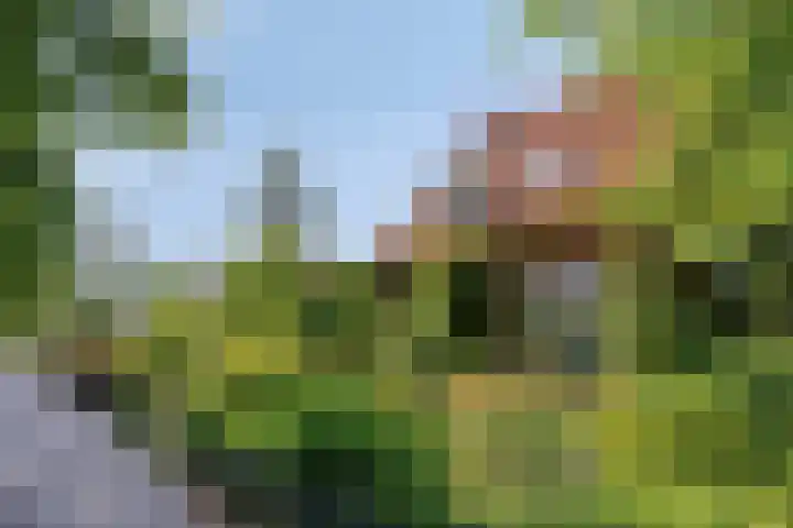 Molenweg 77 Wijdenes thumbnail 61