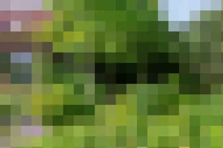 Molenweg 77 Wijdenes thumbnail 62