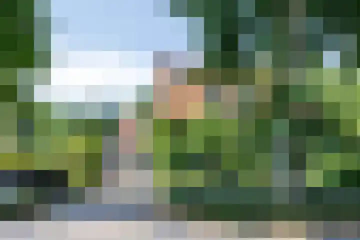 Molenweg 77 Wijdenes thumbnail 63