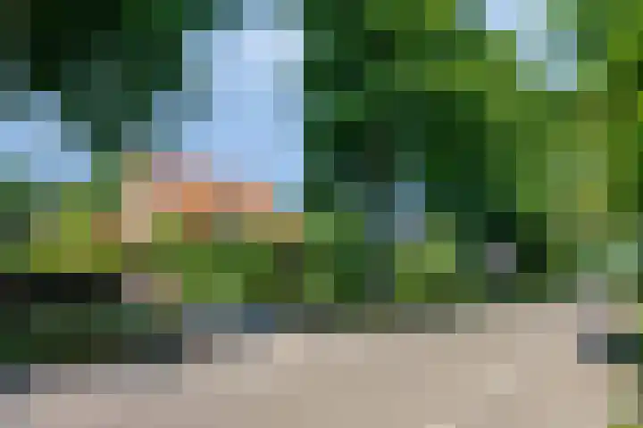 Molenweg 77 Wijdenes thumbnail 64
