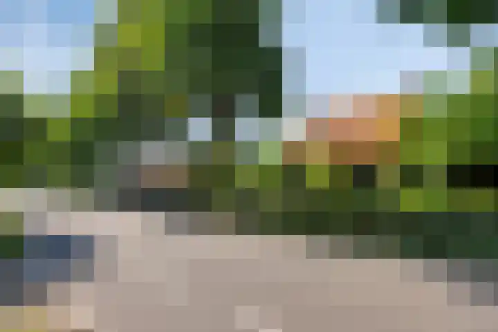 Molenweg 77 Wijdenes thumbnail 65