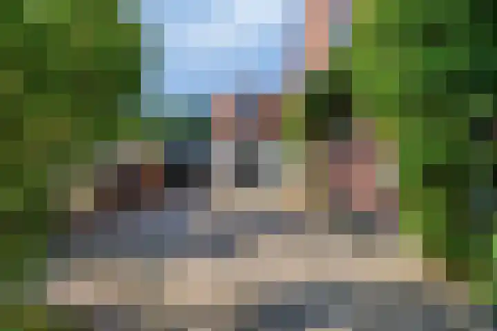 Molenweg 77 Wijdenes thumbnail 7