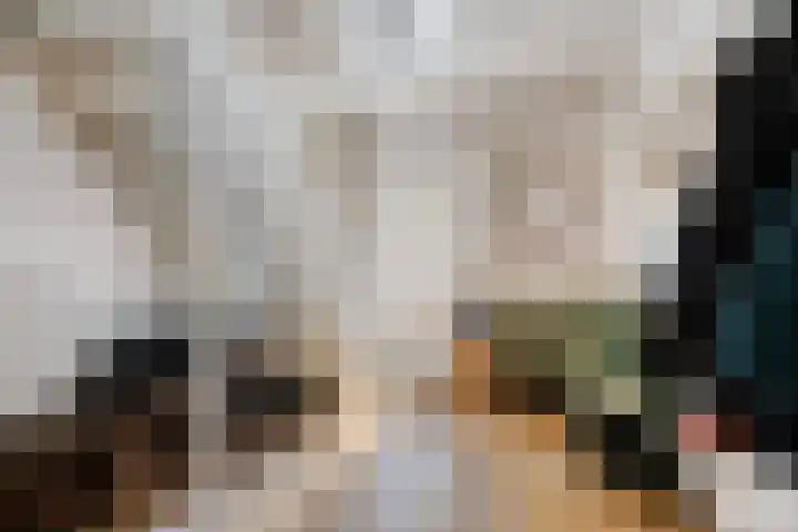 Molenweg 77 Wijdenes thumbnail 9