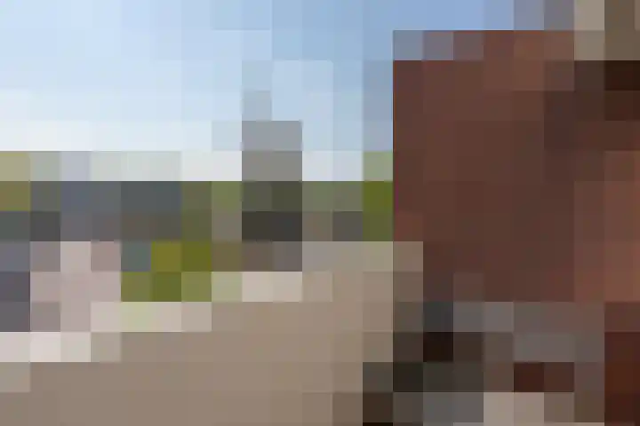 Molenweg 79 Rozenburg thumbnail 27