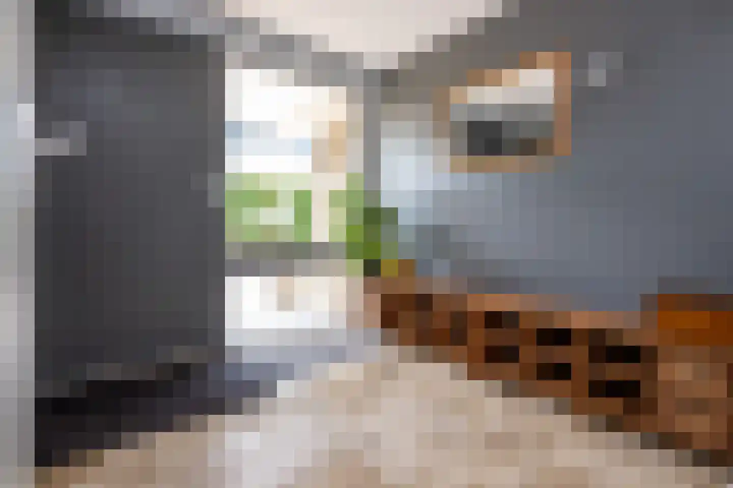 Molenweg 8 a Middelharnis thumbnail 11