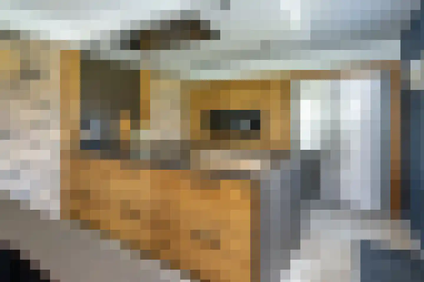 Molenweg 8 a Middelharnis thumbnail 16