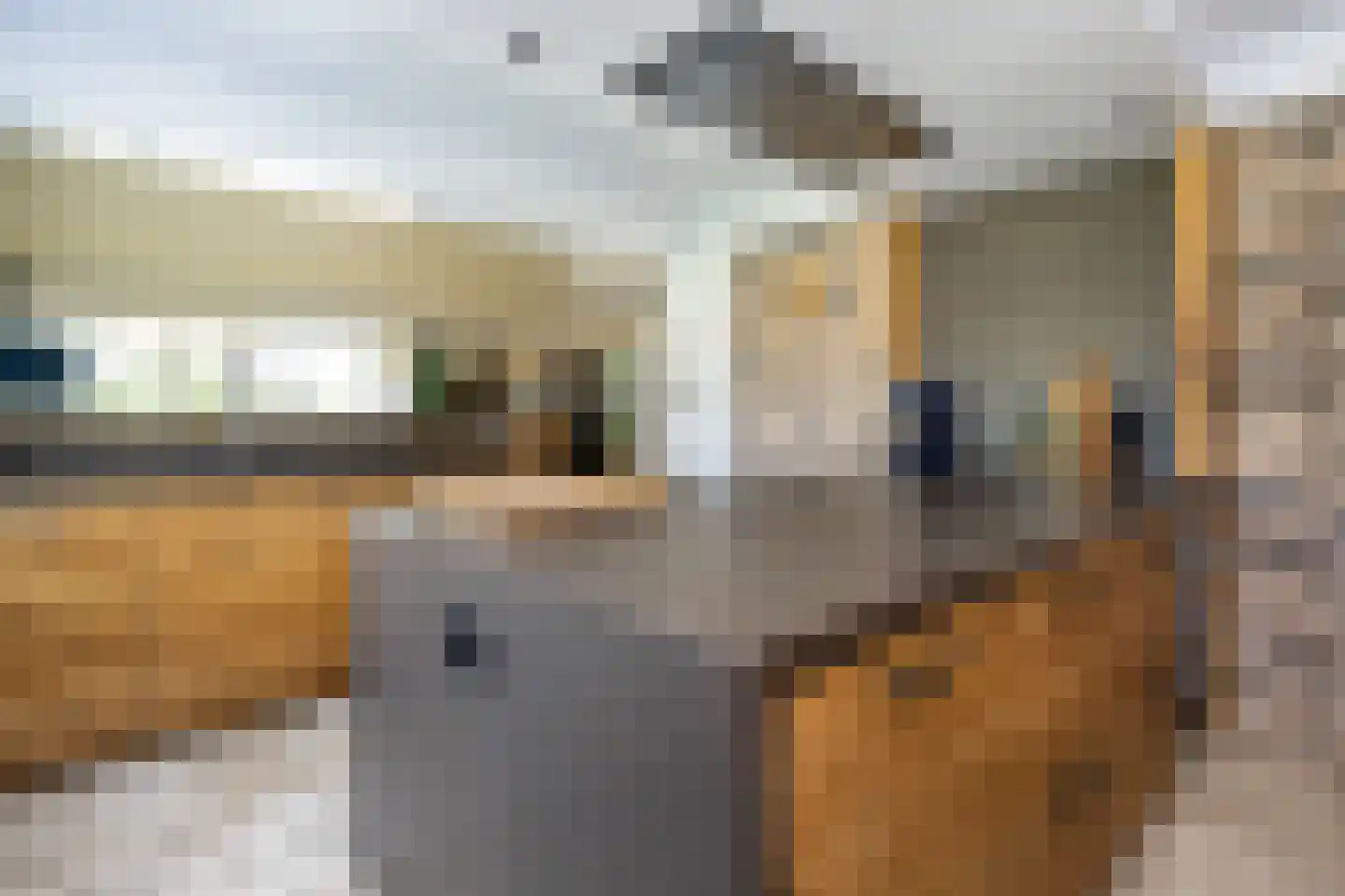 Molenweg 8 a Middelharnis thumbnail 17