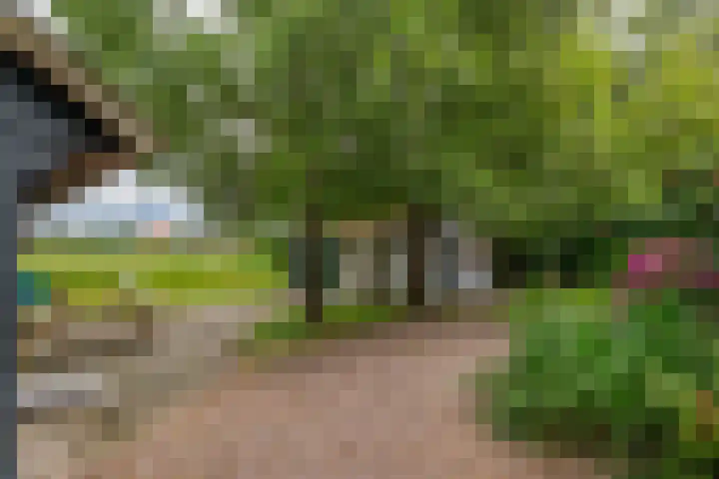 Molenweg 8 A Oosterzee thumbnail 31