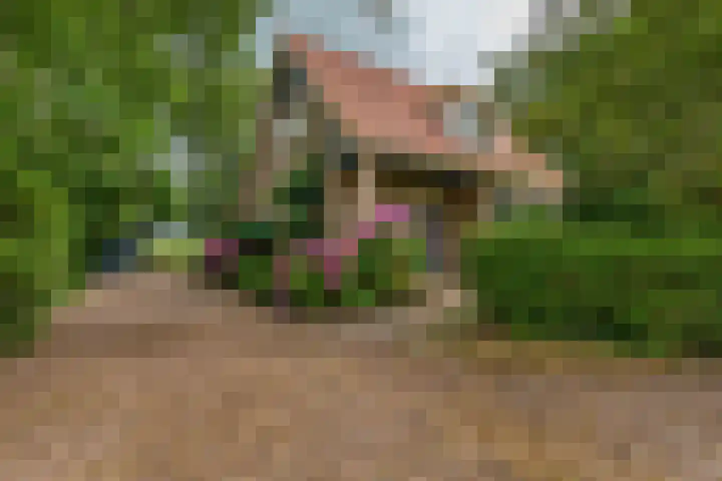 Molenweg 8 A Oosterzee thumbnail 4