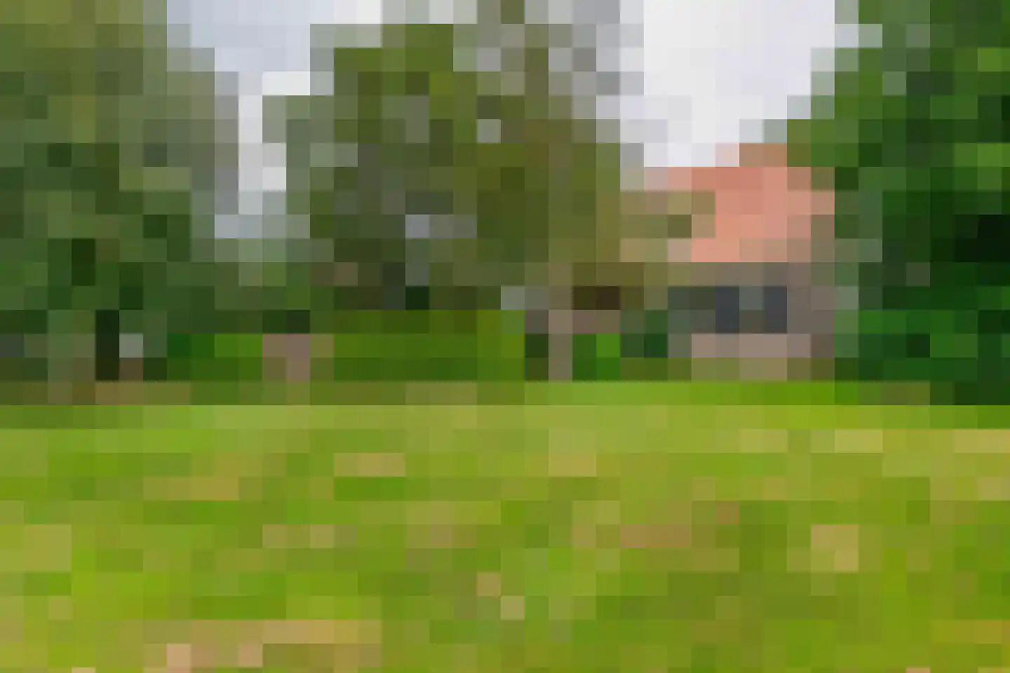 Molenweg 8 A Oosterzee thumbnail 46