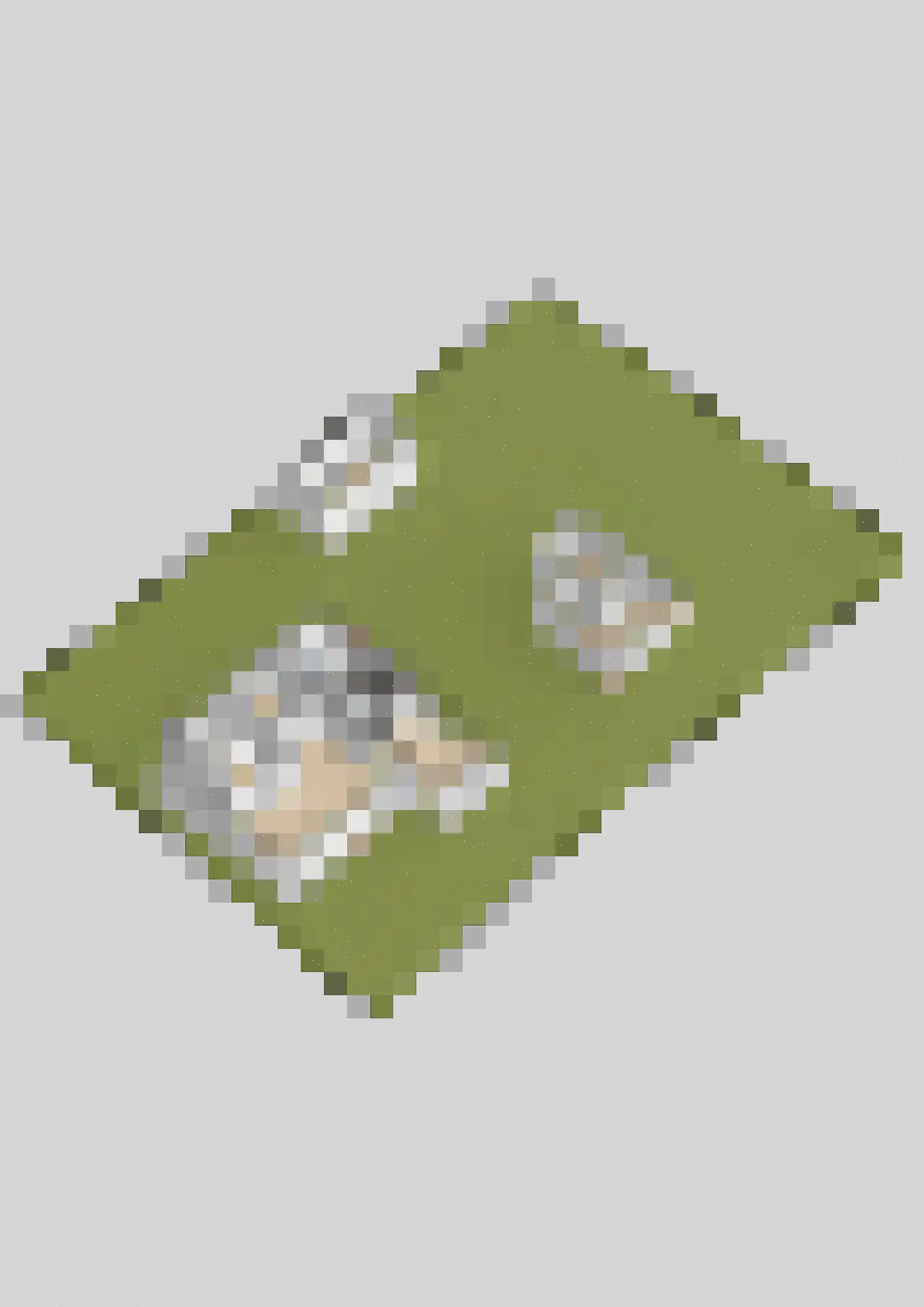 Molenweg 8 A Oosterzee thumbnail 62