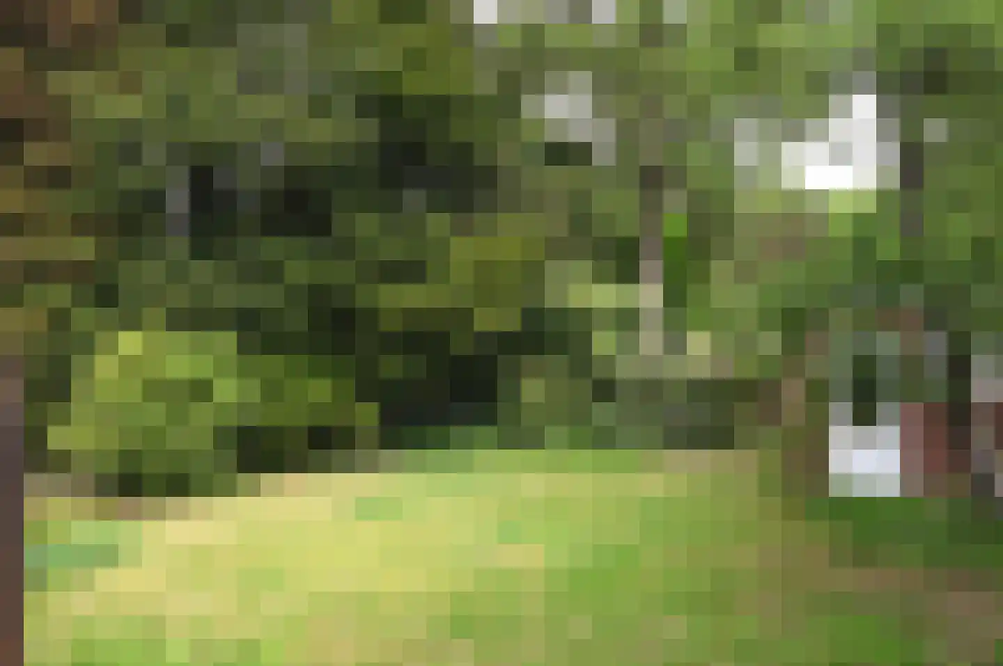Molenweg 8 Baarn thumbnail 15