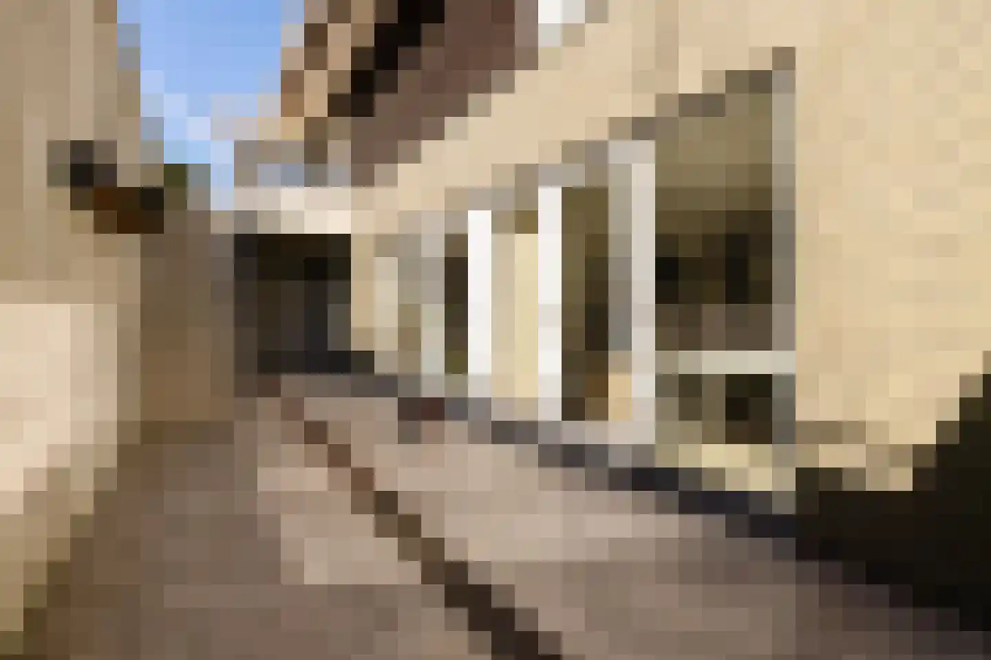 Molenweg 8 Laren thumbnail 20