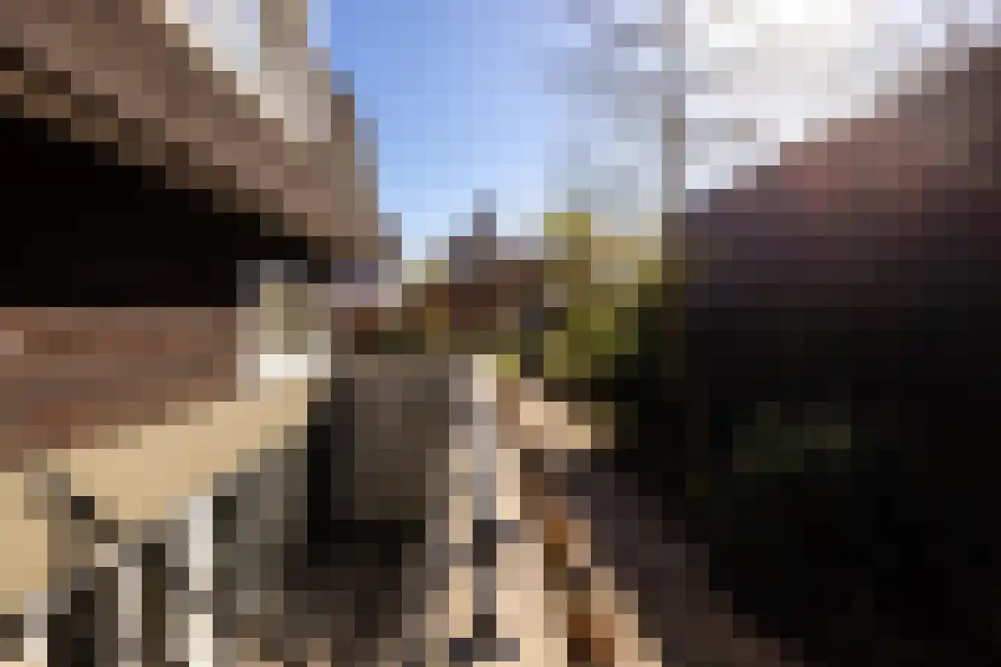 Molenweg 8 Laren thumbnail 21