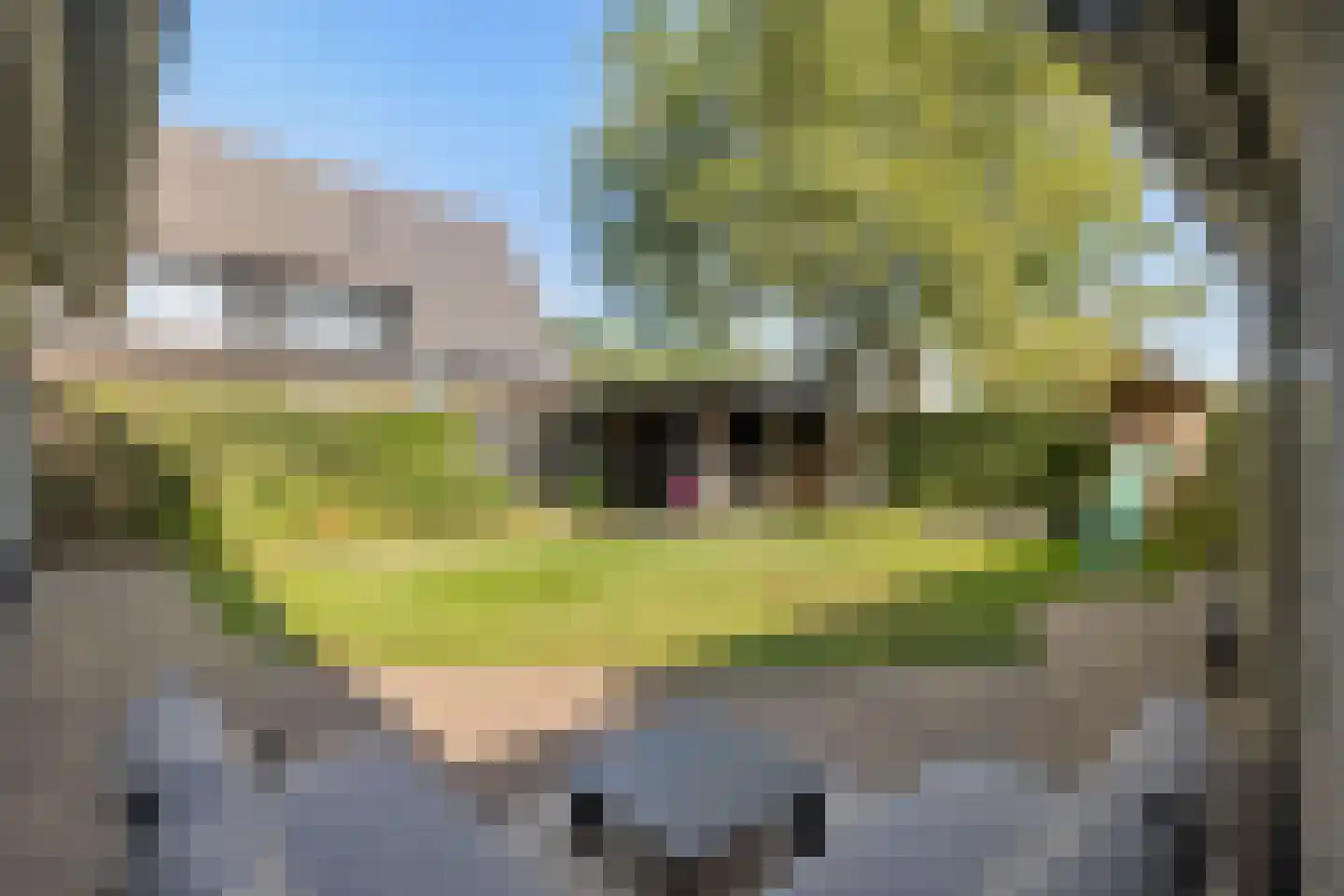 Molenweg 8 Lithoijen thumbnail 43